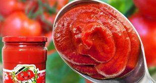 صادرات برند برتر رب گوجه فرنگی