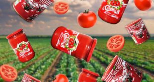محبوب ترین برند صادراتی رب گوجه فرنگی