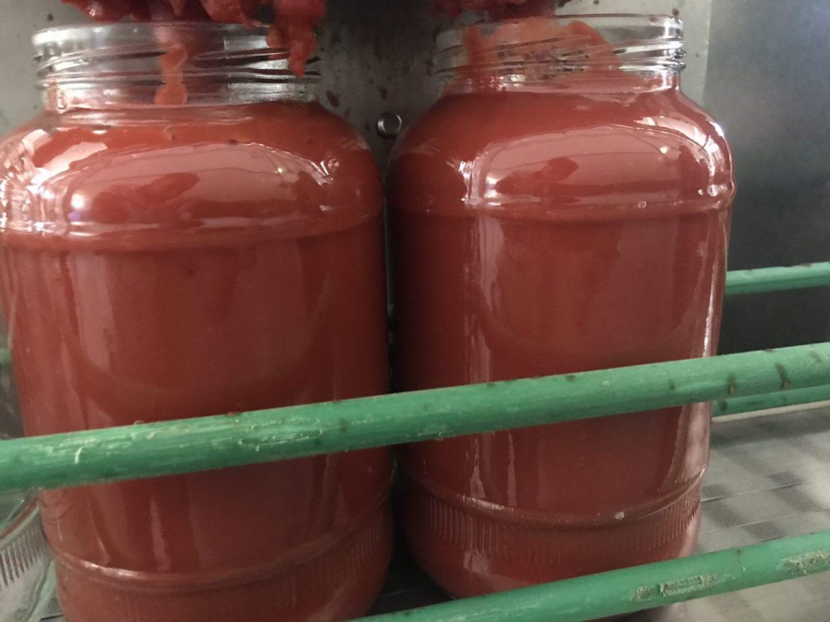 فروش عمده رب گوجه فرنگی شیشه ای