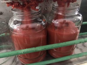 فروش عمده رب گوجه فرنگی شیشه ای